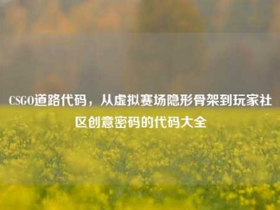 CSGO道路代码，从虚拟赛场隐形骨架到玩家社区创意密码的代码大全