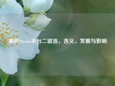解析Steam平台二波流，含义、发展与影响