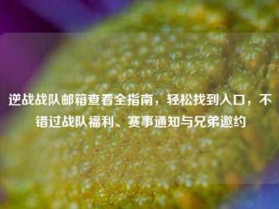 逆战战队邮箱查看全指南，轻松找到入口，不错过战队福利、赛事通知与兄弟邀约