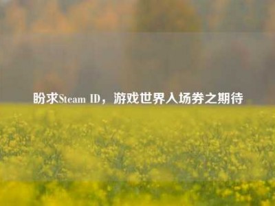 盼求Steam ID，游戏世界入场券之期待
