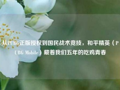从PUBG正版授权到国民战术竞技，和平精英（PUBG Mobile）藏着我们五年的吃鸡青春