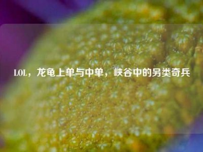 LOL，龙龟上单与中单，峡谷中的另类奇兵