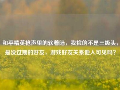 和平精英枪声里的软着陆，我捡的不是三级头，是没过期的好友，游戏好友关系他人可见吗？