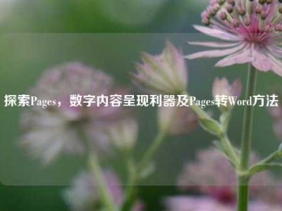 探索Pages，数字内容呈现利器及Pages转Word方法