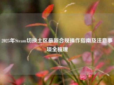 2025年Steam切换土区最新合规操作指南及注意事项全梳理