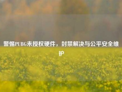 警惕PUBG未授权硬件，封禁解决与公平安全维护