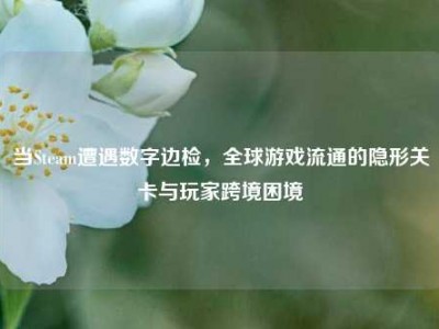 当Steam遭遇数字边检，全球游戏流通的隐形关卡与玩家跨境困境