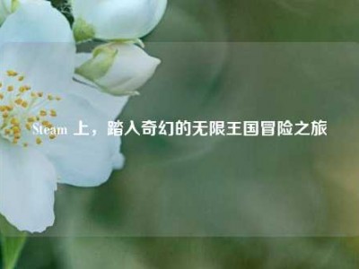 Steam 上，踏入奇幻的无限王国冒险之旅