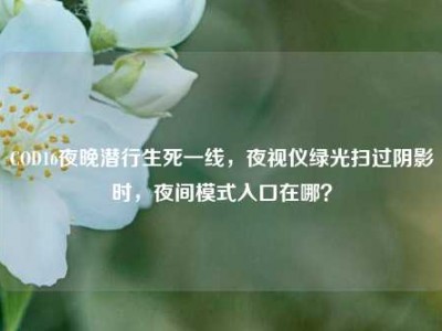 COD16夜晚潜行生死一线，夜视仪绿光扫过阴影时，夜间模式入口在哪？