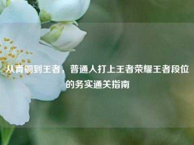 从青铜到王者，普通人打上王者荣耀王者段位的务实通关指南