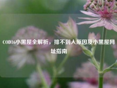 COD16小黑屋全解析，排不到人原因及小黑屋网址指南
