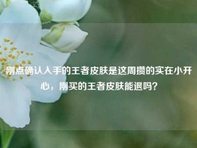 刚点确认入手的王者皮肤是这周攒的实在小开心，刚买的王者皮肤能退吗？