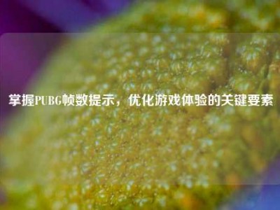 掌握PUBG帧数提示，优化游戏体验的关键要素