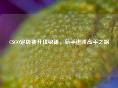 CSGO定级赛升段秘籍，新手进阶高手之路