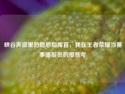 峡谷声浪里的隐形指挥官，我在王者荣耀当赛事播报员的那些年