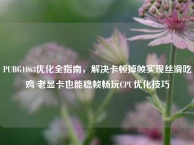 PUBG1063优化全指南，解决卡顿掉帧实现丝滑吃鸡 老显卡也能稳帧畅玩CPU优化技巧