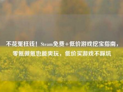 不花冤枉钱！Steam免费+低价游戏挖宝指南，零氪微氪也能爽玩，低价买游戏不踩坑