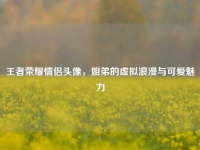 王者荣耀情侣头像，姐弟的虚拟浪漫与可爱魅力