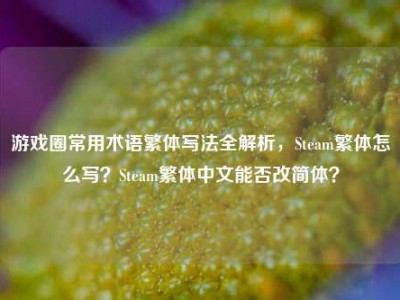 游戏圈常用术语繁体写法全解析，Steam繁体怎么写？Steam繁体中文能否改简体？