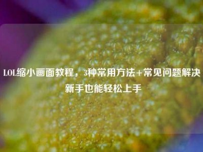 LOL缩小画面教程，3种常用方法+常见问题解决 新手也能轻松上手