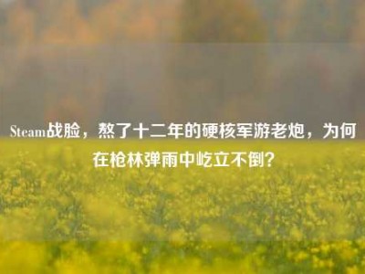 Steam战脸，熬了十二年的硬核军游老炮，为何在枪林弹雨中屹立不倒？