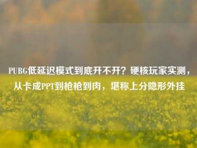 PUBG低延迟模式到底开不开？硬核玩家实测，从卡成PPT到枪枪到肉，堪称上分隐形外挂