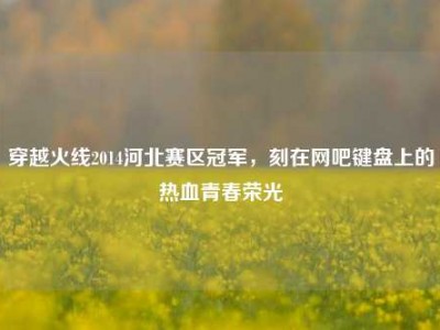 穿越火线2014河北赛区冠军，刻在网吧键盘上的热血青春荣光