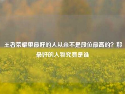 王者荣耀里最好的人从来不是段位最高的？那最好的人物究竟是谁