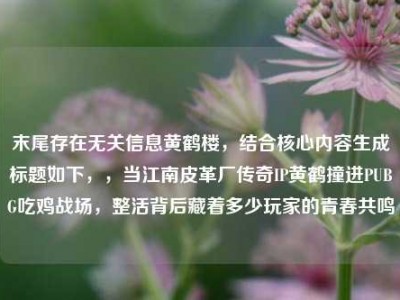 末尾存在无关信息黄鹤楼，结合核心内容生成标题如下，，当江南皮革厂传奇IP黄鹤撞进PUBG吃鸡战场，整活背后藏着多少玩家的青春共鸣