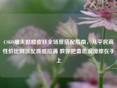 CSGO屠夫骷髅皮肤全场景搭配指南，从平民高性价比到顶配质感拉满 教你把血色浪漫焊在手上