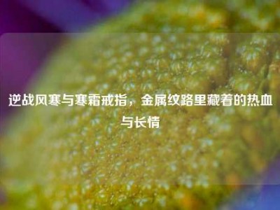 逆战风寒与寒霜戒指，金属纹路里藏着的热血与长情