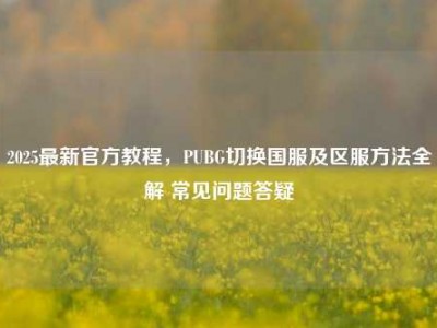 2025最新官方教程，PUBG切换国服及区服方法全解 常见问题答疑
