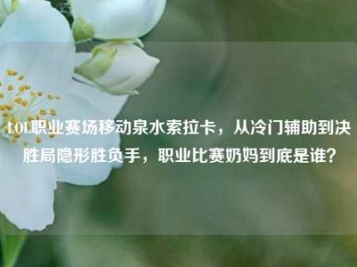 LOL职业赛场移动泉水索拉卡，从冷门辅助到决胜局隐形胜负手，职业比赛奶妈到底是谁？