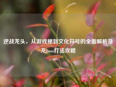 逆战龙头，从游戏梗到文化符号的全面解析及龙boss打法攻略