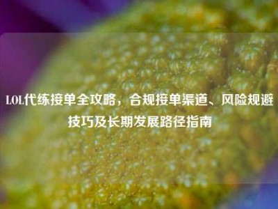 LOL代练接单全攻略，合规接单渠道、风险规避技巧及长期发展路径指南