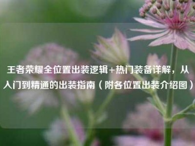 王者荣耀全位置出装逻辑+热门装备详解，从入门到精通的出装指南（附各位置出装介绍图）