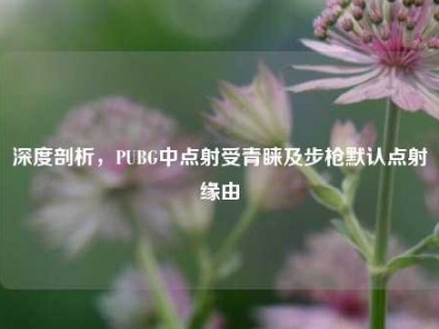 深度剖析，PUBG中点射受青睐及步枪默认点射缘由