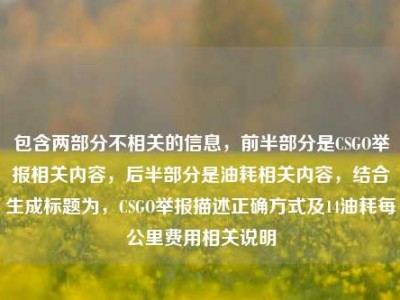 包含两部分不相关的信息，前半部分是CSGO举报相关内容，后半部分是油耗相关内容，结合生成标题为，CSGO举报描述正确方式及14油耗每公里费用相关说明