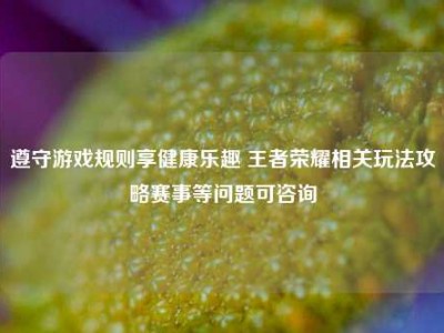 遵守游戏规则享健康乐趣 王者荣耀相关玩法攻略赛事等问题可咨询