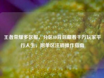 王者荣耀多区服，分区ID背后藏着千万玩家平行人生，附单区注销操作指南