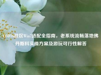 COD16战区Win7适配全指南，老系统流畅落地佛丹斯科实操方案及游玩可行性解答