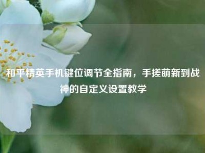 和平精英手机键位调节全指南，手搓萌新到战神的自定义设置教学