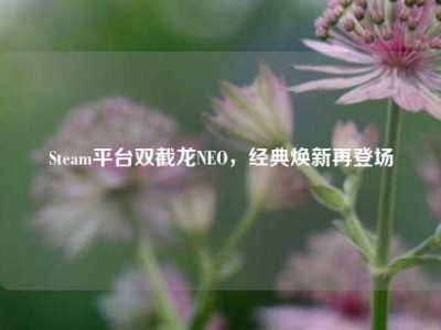Steam平台双截龙NEO，经典焕新再登场