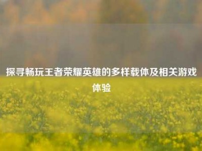 探寻畅玩王者荣耀英雄的多样载体及相关游戏体验