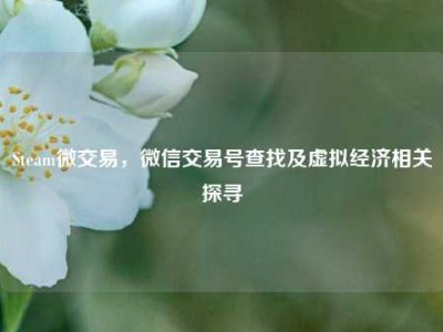 Steam微交易，微信交易号查找及虚拟经济相关探寻