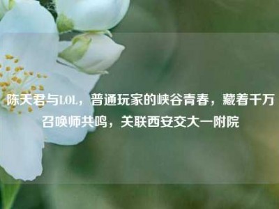 陈天君与LOL，普通玩家的峡谷青春，藏着千万召唤师共鸣，关联西安交大一附院