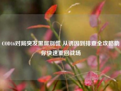COD16对局突发黑屏别慌 从诱因到排查全攻略助你快速重回战场