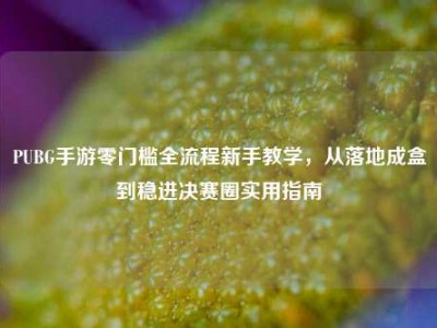 PUBG手游零门槛全流程新手教学，从落地成盒到稳进决赛圈实用指南