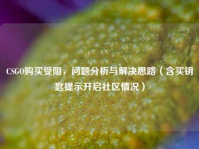 CSGO购买受阻，问题分析与解决思路（含买钥匙提示开启社区情况）