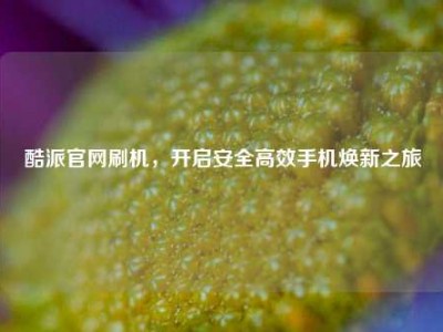 酷派官网刷机，开启安全高效手机焕新之旅